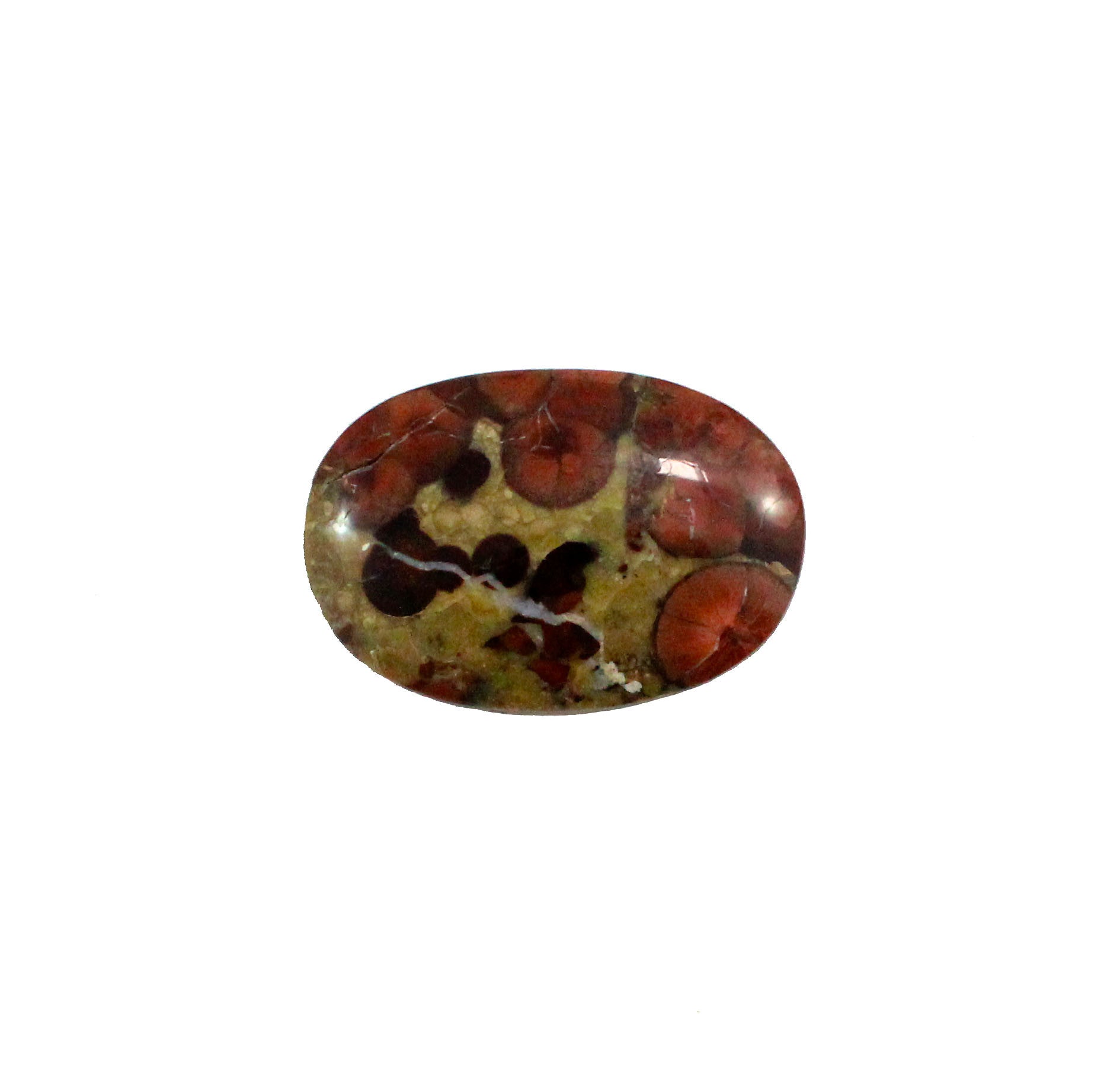 Peanut Rock 36x25mm oval cut cabochon - Make your own custom jewelry - Sarah Hughes - 6
