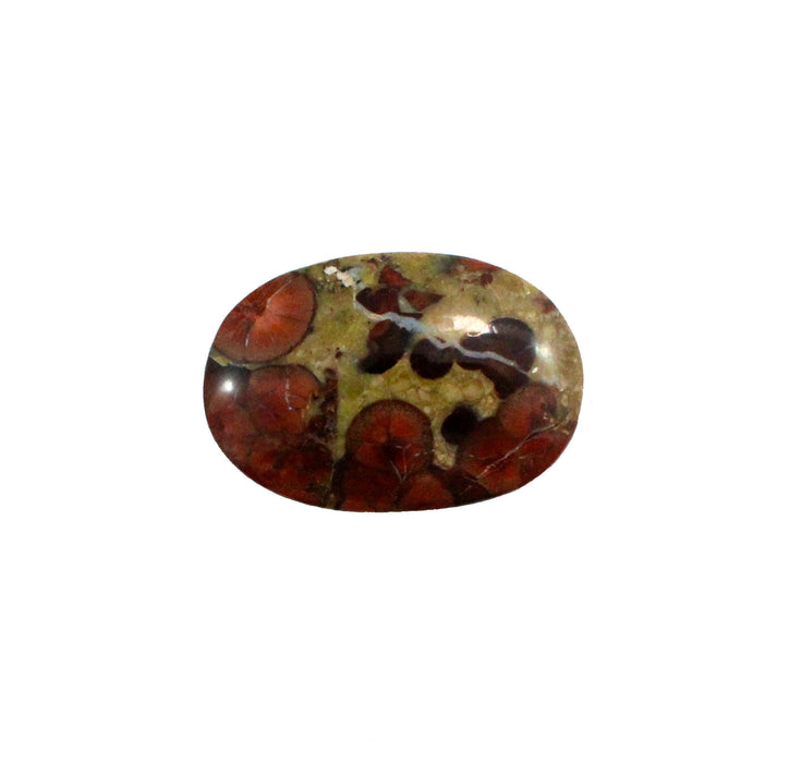 Peanut Rock 36x25mm oval cut cabochon - Make your own custom jewelry - Sarah Hughes - 4