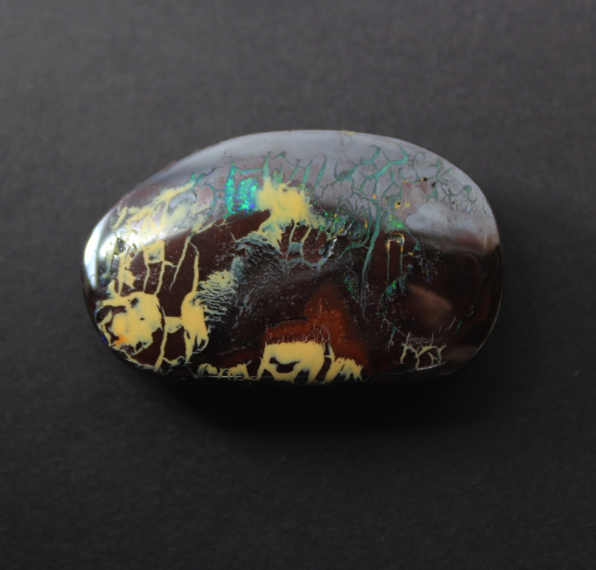 Australian boulder opal from Lightning Ridge polished cabochon CLICK HERE - Sarah Hughes - 3