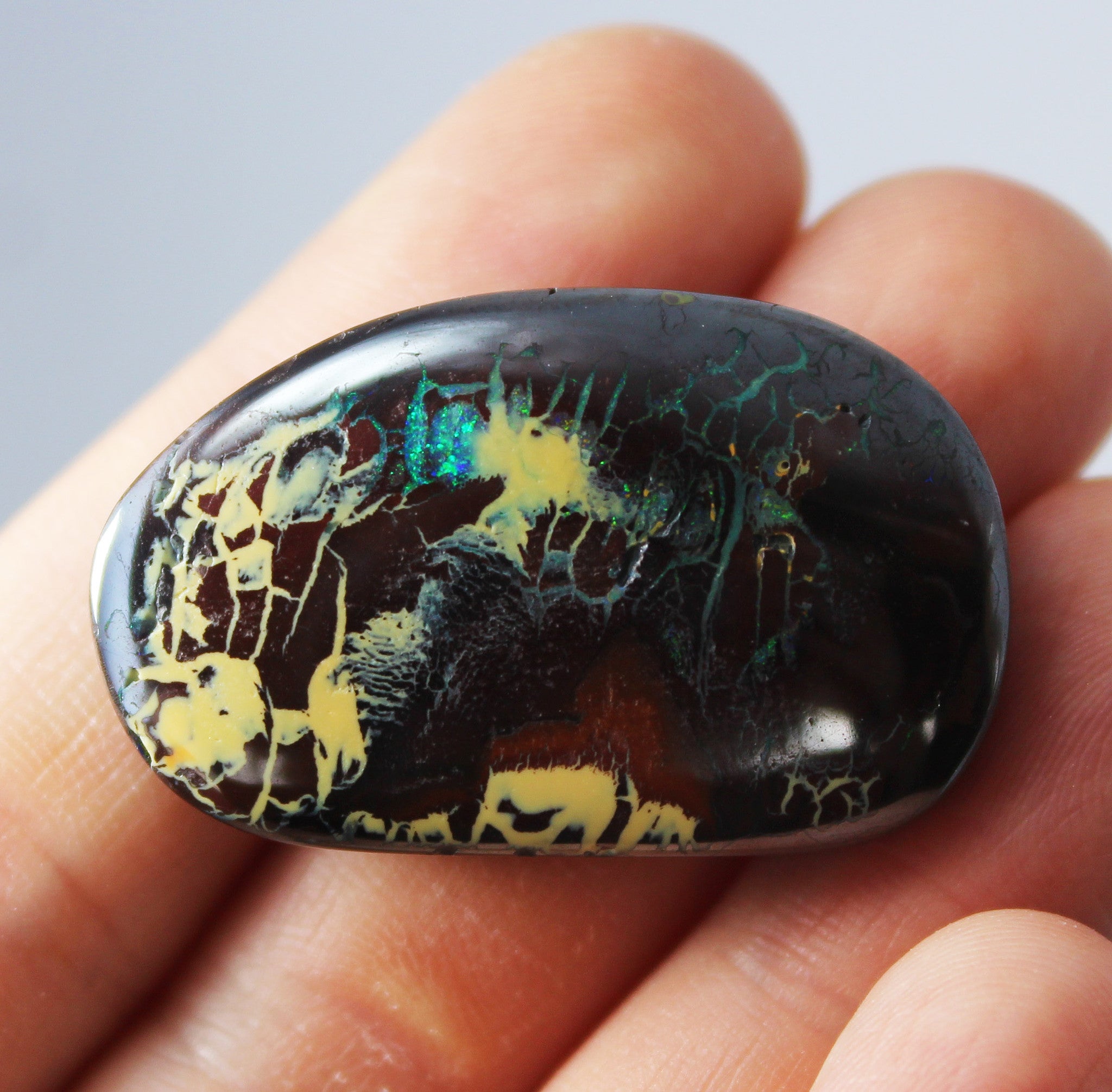 Australian boulder opal from Lightning Ridge polished cabochon CLICK HERE - Sarah Hughes - 11