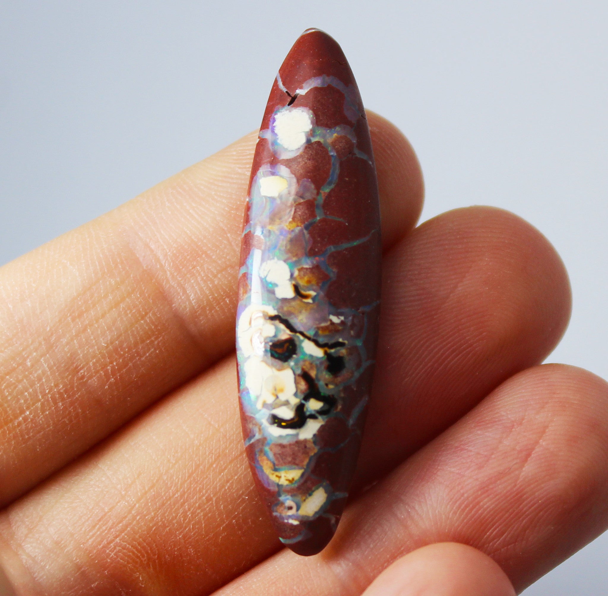 Australian boulder opal from Lightning Ridge polished cabochon CLICK HERE - Sarah Hughes - 9