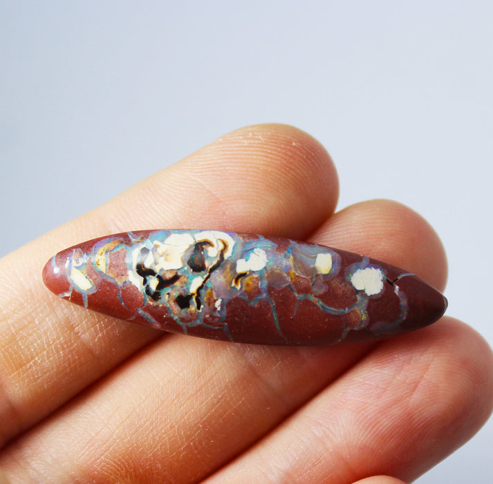 Australian boulder opal from Lightning Ridge polished cabochon CLICK HERE - Sarah Hughes - 10