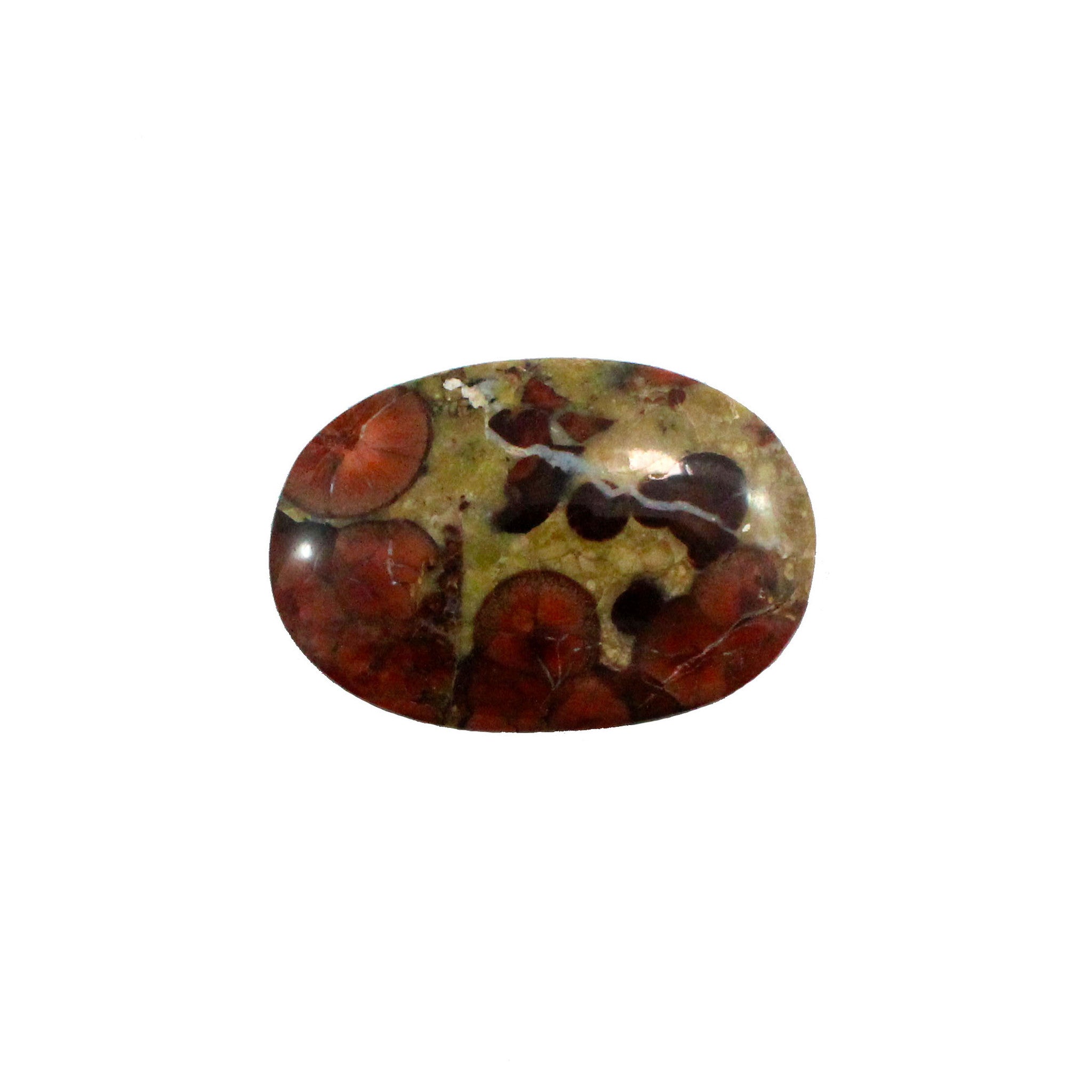 Peanut Rock 36x25mm oval cut cabochon - Make your own custom jewelry - Sarah Hughes - 1