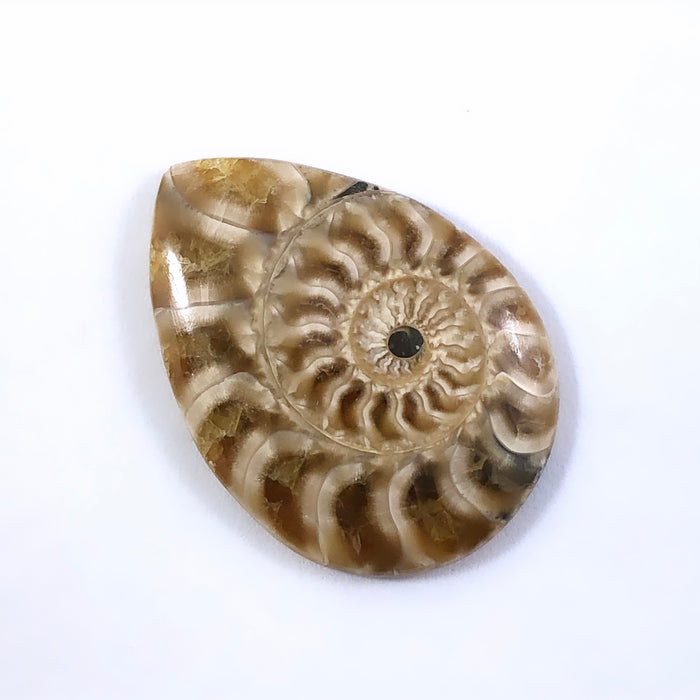 Ammonite fossil pear cut cabochon 14.55 carats gemstone - buy loose or customise